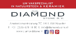 Diamond stone logo