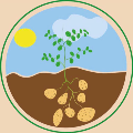 Aardappelen Westfriesland logo
