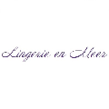Lingerie en Meer logo