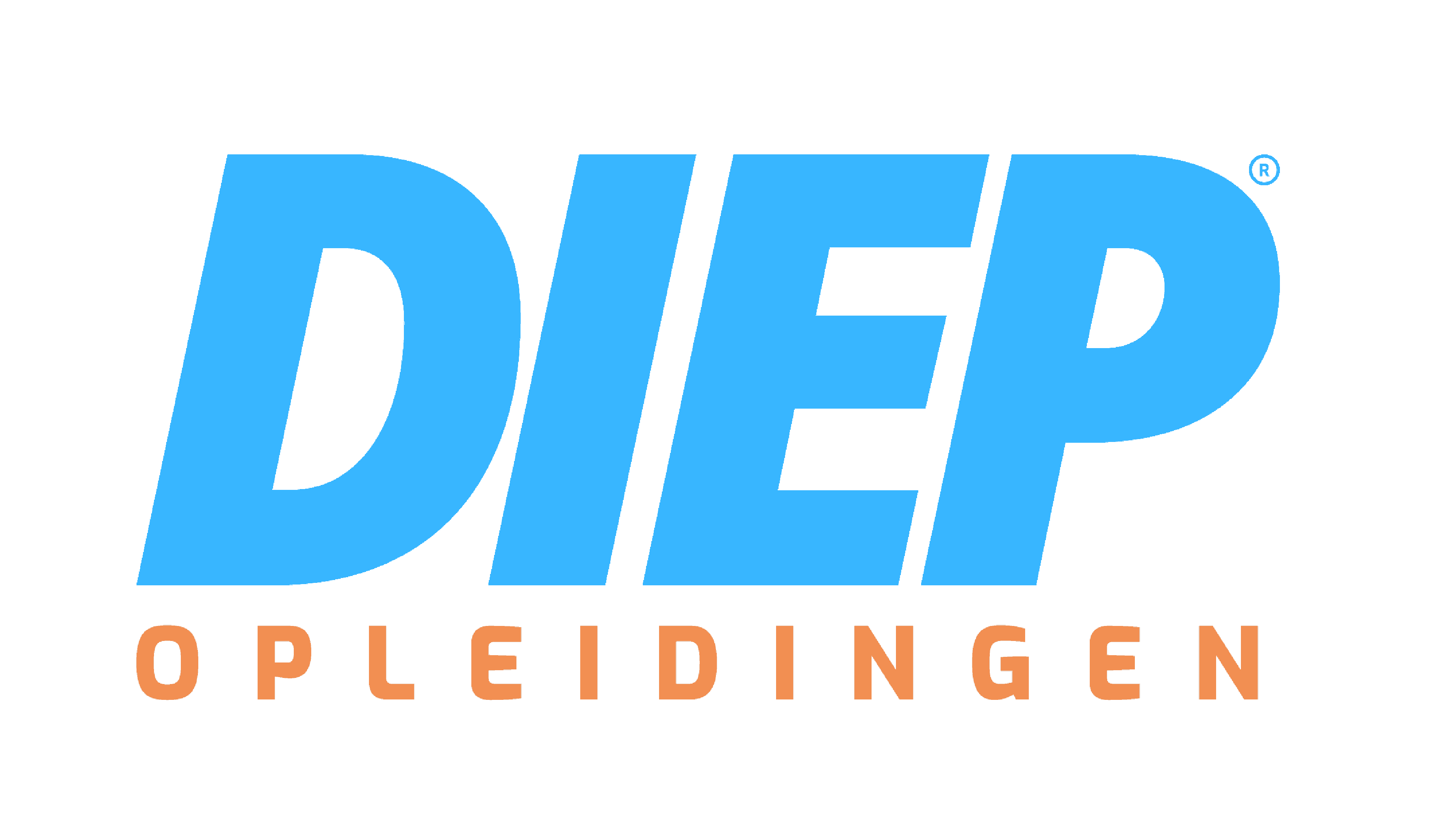 Rijschool Apeldoorn logo