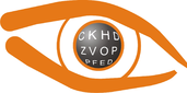 Plesman Optiek Optometrie logo