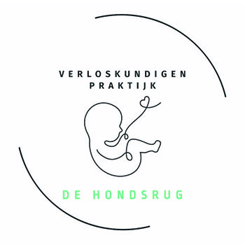 Verloskundigenpraktijk de Hondsrug logo