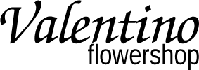 Valentino Flowershop logo