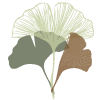 Natuurlijk Afscheid logo
