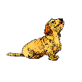 Wiggly Tails logo