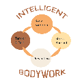 Intelligent Bodywork logo