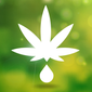 Cannabisolie.com logo