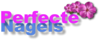 Nagelstudio Breda Perfecte Nagels logo
