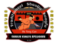 Shaolin Tigers Jeugd Kungfu logo