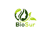 BioSur logo