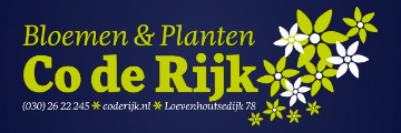 Co de Rijk Bloemen en Planten logo