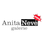 Anita Neve Galerie logo