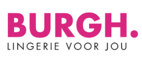 Van der Burgh lingerie logo