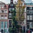 Dongen